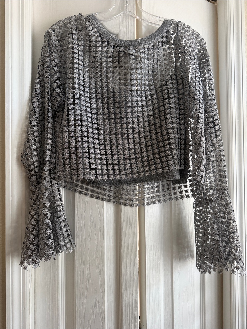 Silver Mesh Cropped Long-Sleeve Top with camisole